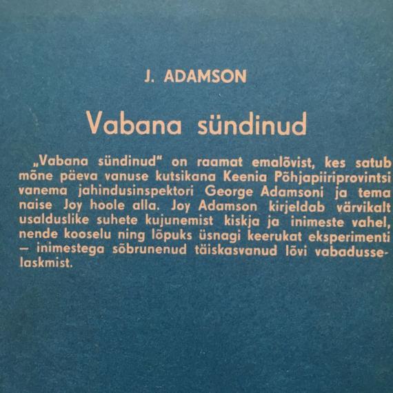 Maailmamaad
