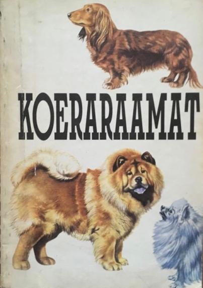 Aed ja kodu