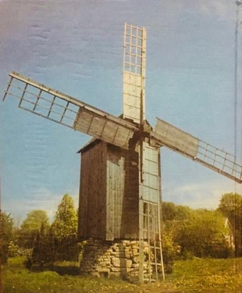 Loodus