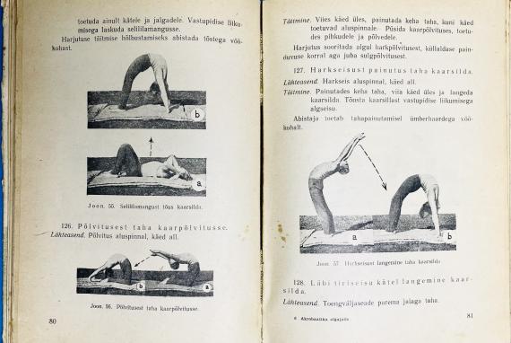 Sport