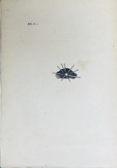 Luule