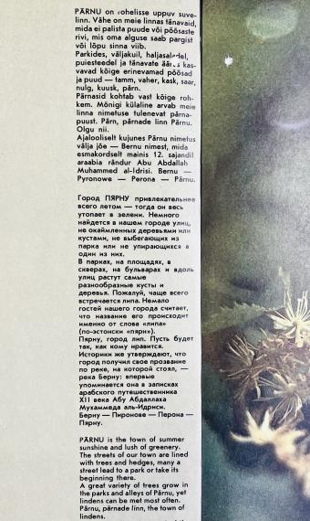 Eesti linnad ja rajoonid
