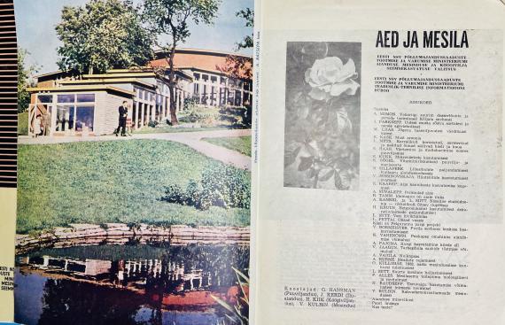 Ajakirjad, ajalehed